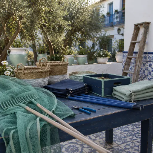 Oleotourism Season: Hotels Where You Can Join the Autumn Olive Harvest